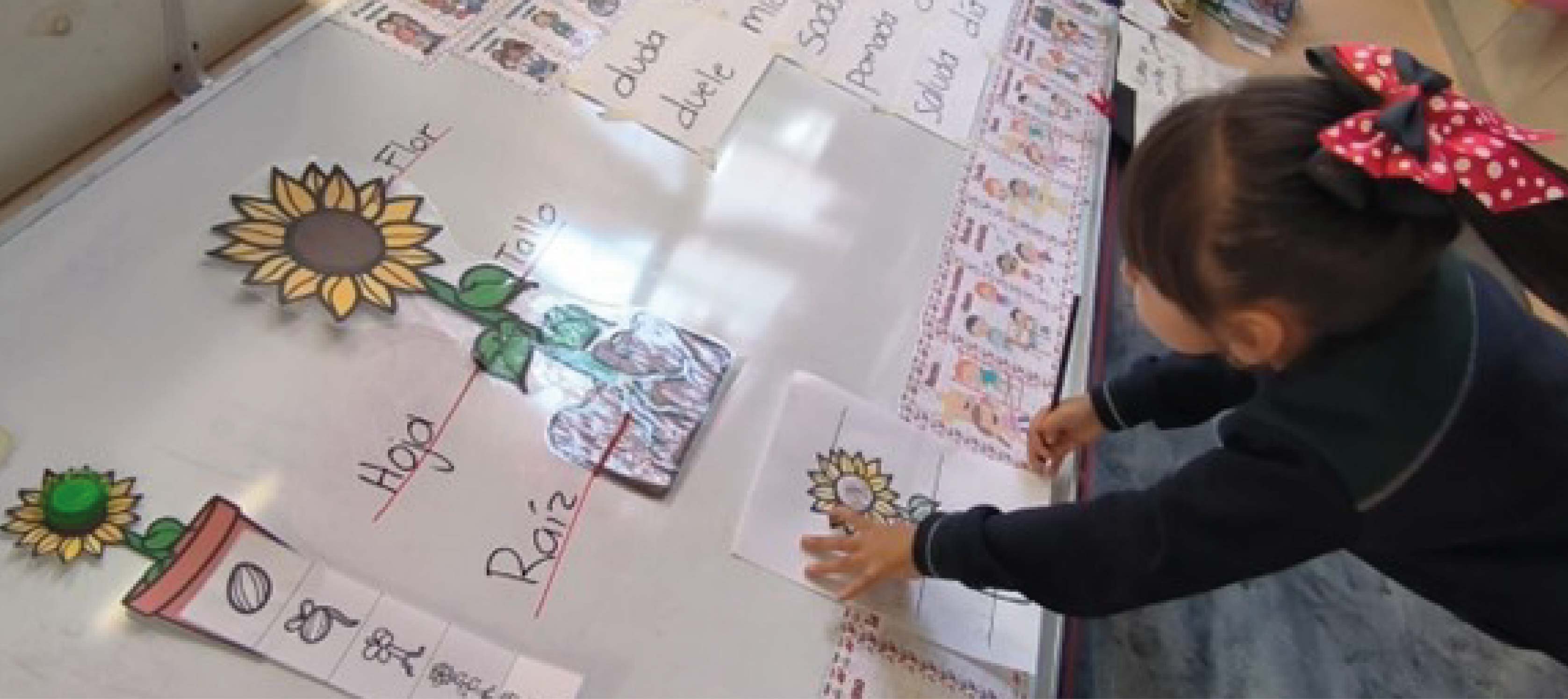 Las flores de mi escuela 