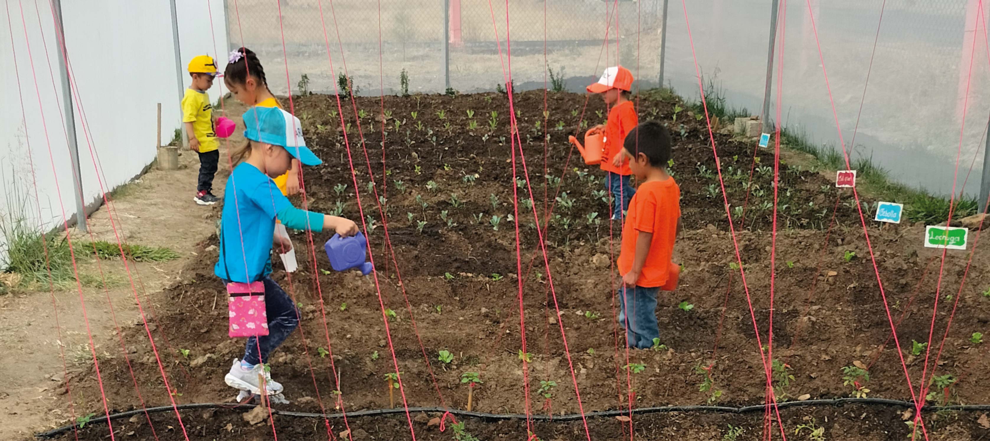 Modelo de Escuela Sustentable: cultivando valores y amor por la vida desde la infancia
