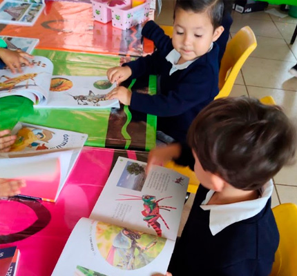 La vocación como fuerza transformadora en la Nueva Escuela Mexicana