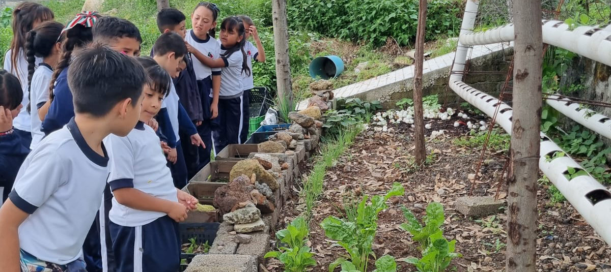 Huerto escolar como mediación para una racionalidad de vida (ecosofía) desde una comunidad de aprendizaje